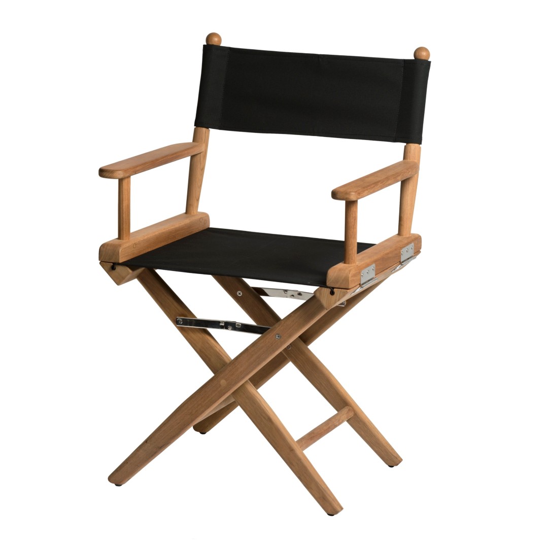 Director chair canvas deals